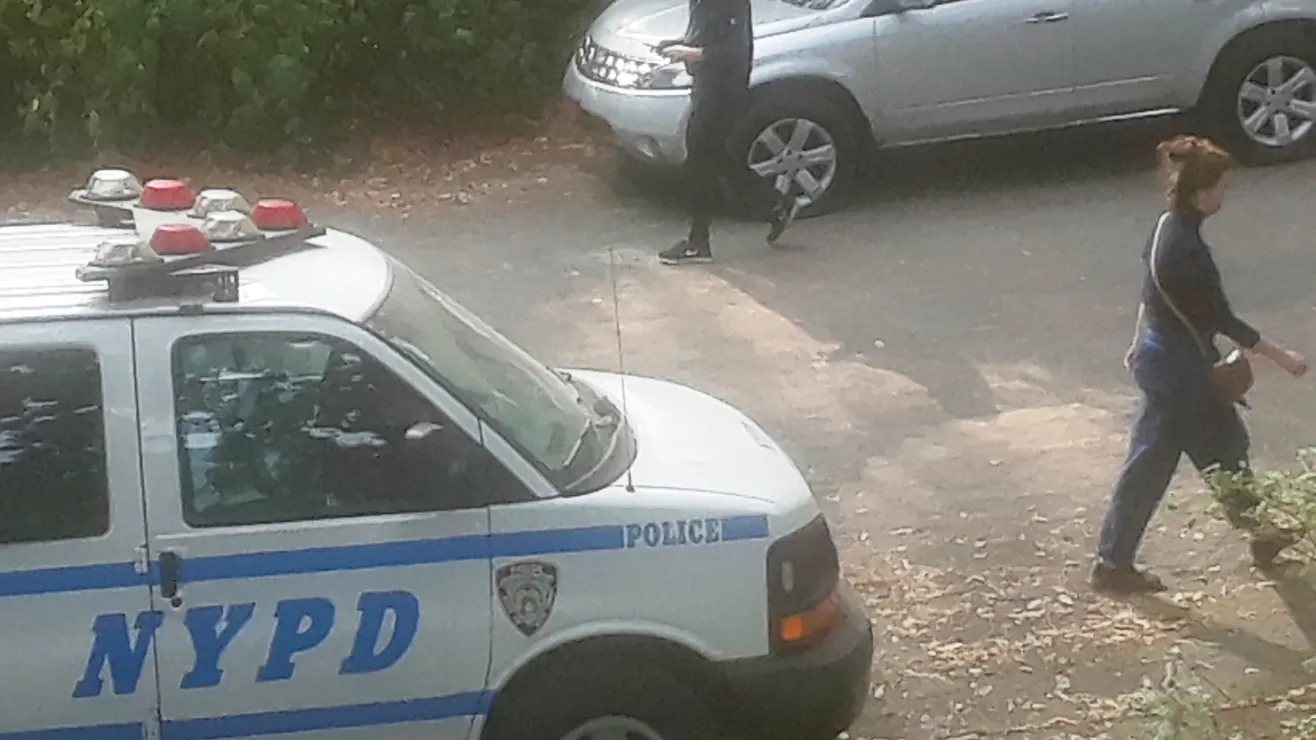 Cadáver hallado en Central Park de Nueva York: hombre joven