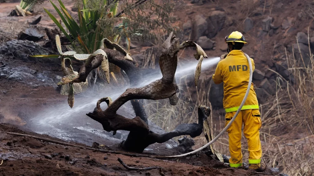 El número de muertos por los incendios forestales de Maui es de 96. Esto es lo que sabemos sobre el incendio más mortífero en EE.UU. en más de un siglo