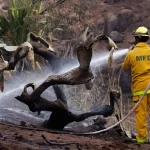 El número de muertos por los incendios forestales de Maui es de 96. Esto es lo que sabemos sobre el incendio más mortífero en EE.UU. en más de un siglo