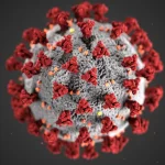 Pruebas científicas en EE.UU. encuentran que el sistema inmunológico se defiende bien de la nueva variante del virus que causa el covid-19