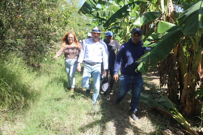 Agricultura estima pérdidas agro en RD$4,000 millones