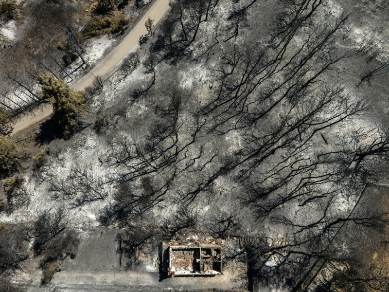 Gestión de los incendios forestales desata rabia y miedo entre los griegos