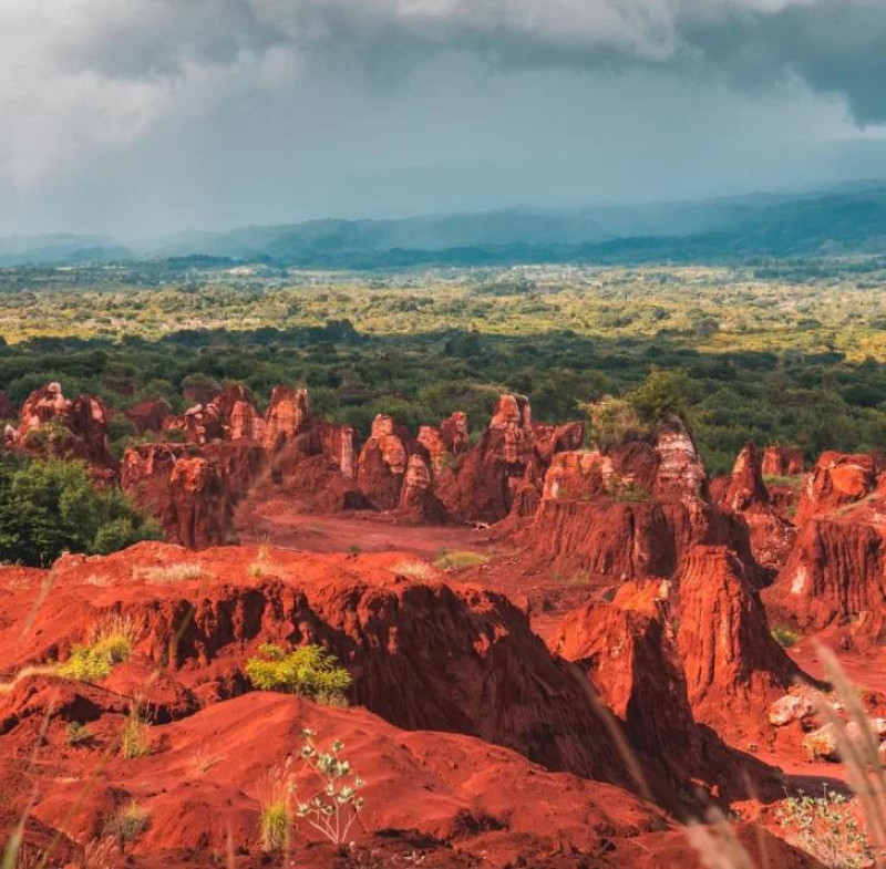 Abinader señala el potencial económico de las tierras raras, cuyo kilogramo oscila entre US$50 y US$750