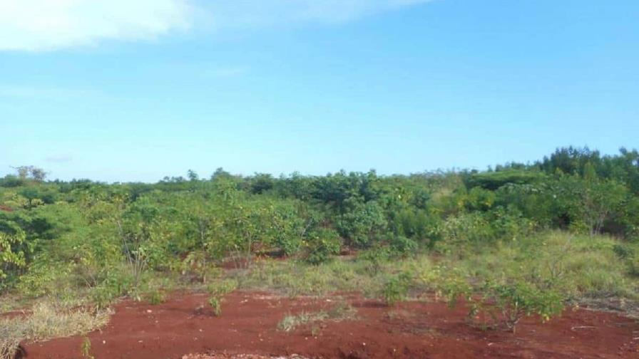 Haitianos se preguntan si tienen tierras raras tras el hallazgo en Pedernales