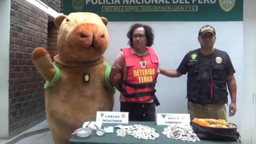 Policía peruano se disfraza de la ‘Capibara del amor’ para capturar a traficante de drogas